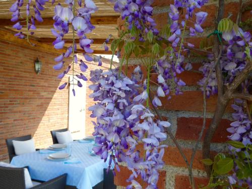 a bunch of purple flowers hanging from a wall at Casa Vacanze Villa Cerine in Altopascio