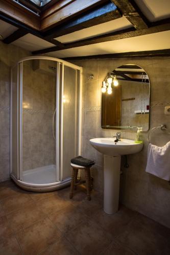 a bathroom with a shower and a sink and a mirror at Casa Rural Andutza in Ea