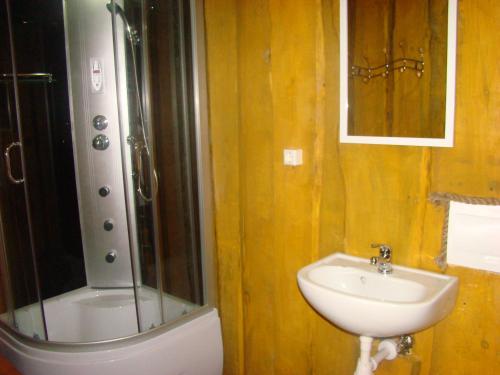 a bathroom with a shower and a sink at Atpūtas vieta Buki in Ventspils