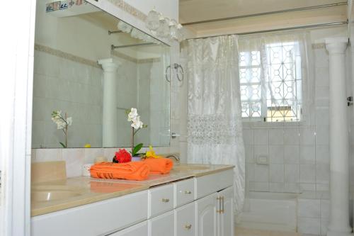 ein weißes Bad mit einem Waschbecken und einer Dusche in der Unterkunft Paradise Palms Jamaica Vacation Rental in Montego Bay
