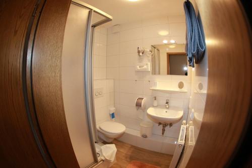a bathroom with a toilet and a sink at Berleburger Hof in Bad Berleburg