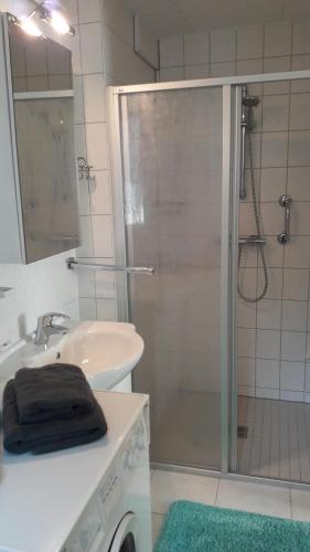 La salle de bains est pourvue d'un lavabo et d'une douche avec une porte en verre. dans l'établissement Ferienhaus im Grünen/Monteurzimmer, à Oranienburg