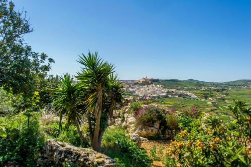 Panorama – Photos 5