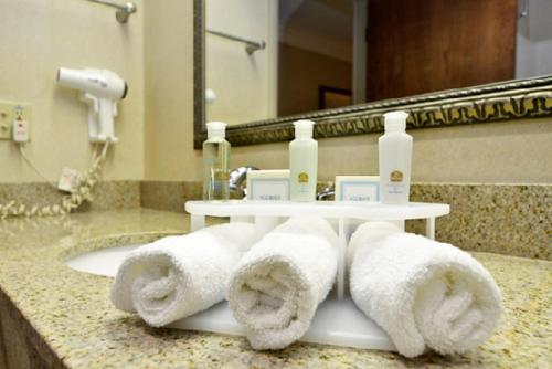 Baymont by Wyndham Madisonville tesisinde bir banyo