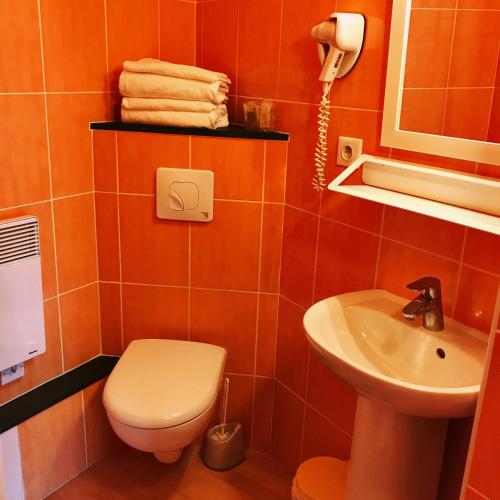 une salle de bain avec toilettes et lavabo dans l'établissement Logis Hotels - Hôtel et Restaurant de la Montagne Noire, à Dourgne