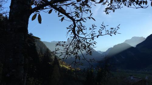 a view of a valley in the mountains at Luxus Chalet Mühlermoos in Ramsau im Zillertal