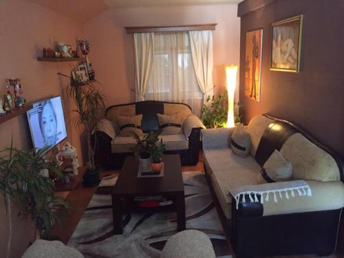 Gallery image of Apartments Kordic in Budva