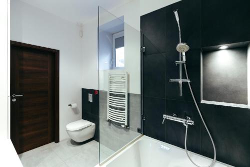 羅茲的住宿－Apartment In The Strict City Centre，一间带卫生间和玻璃淋浴间的浴室