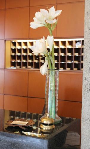 Fotografie z fotogalerie ubytování Hotel Azar v destinaci Plasencia