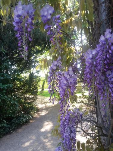 Jardín al aire libre en Hostellerie Sarrasine, Mâcon Est - Teritoria