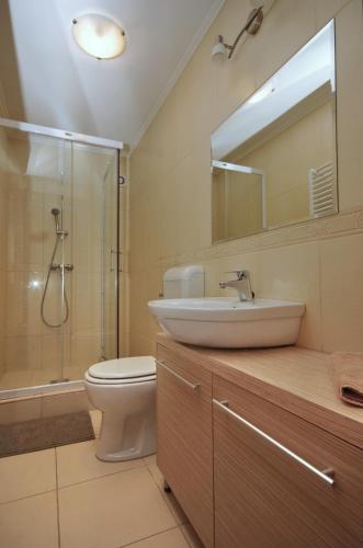a bathroom with a sink and a toilet and a shower at 4 ÁSZ Deluxe Apartman in Gyula