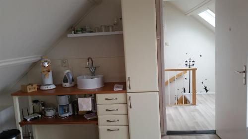 a kitchen with a counter and a sink in a room at Homestay Texel in Den Burg