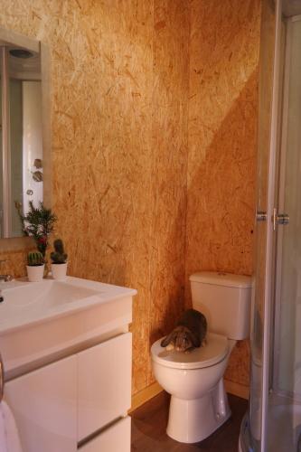 a bathroom with a toilet with a cat sleeping on the seat at Casa Batucela in Monte Serrano