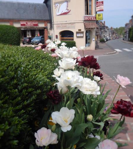 Hotel Restaurant Le Cygne – Photos 2