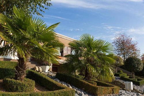 a building with two palm trees in front of it at Baart's Bed and Breakfast in Wijnandsrade