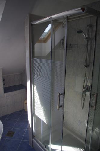a shower with a glass door in a bathroom at Apartment Tomy in Slunj