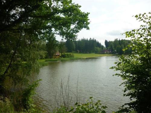 a lake with a house in the middle of it at Pension Kachlicka in Skála