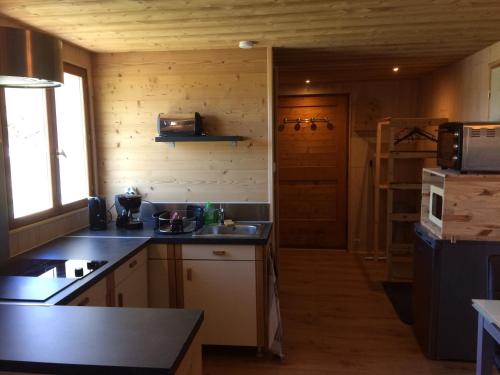 a kitchen with a sink and a counter top at Entre Lac Et Montagnes in Bernex