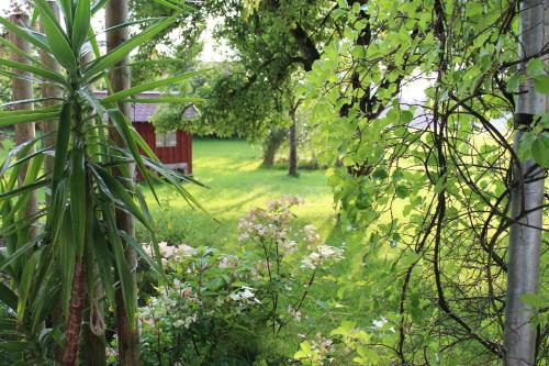 Κήπος έξω από το Ferienwohnung Rupp Bergblick & private Sauna