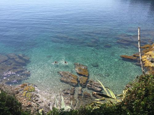 two people swimming in the clear blue water at Hotel Normandy in Cap d'Ail