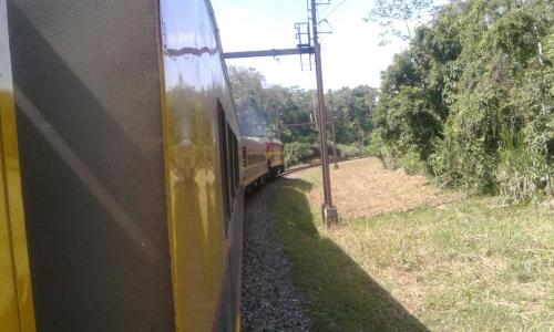 a yellow train traveling down the train tracks at Cabañas Colindas in Panama City