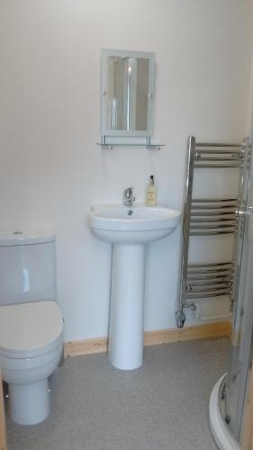 a bathroom with a sink and a toilet and a mirror at Fara 2 room, 1 bedroom - Private suite in Kirkwall