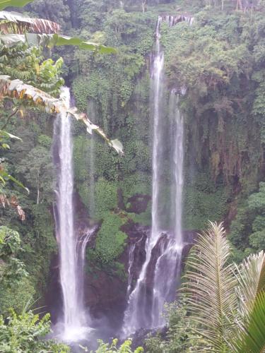 a waterfall in the middle of a forest at ESA di Kubu Homestay in Singaraja