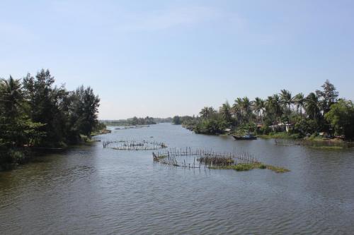 a river with trees and islands in the water at Flame Flowers Homestay in Hoi An