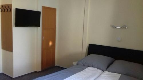 a bedroom with a bed and a flat screen tv at Pension Altwahnsdorf in Radebeul