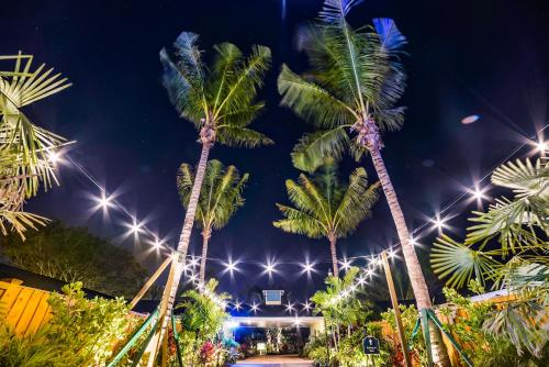 a group of palm trees at night with lights at Siesta Key Palms Resort in Sarasota