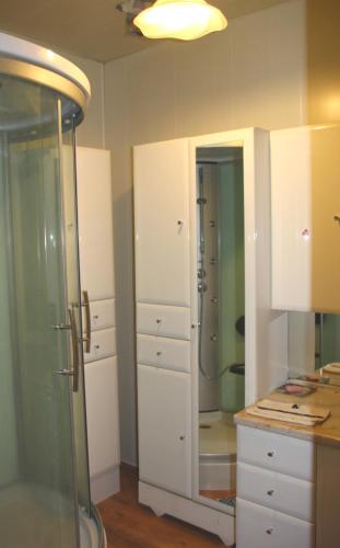 y baño con ducha, armarios blancos y espejo. en La Maison des Chats en Saint-Mary-le-Plain