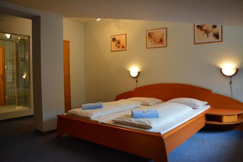 Hotel Vrsatec في Vršatské Podhradie: غرفة نوم عليها سرير ووسادتين