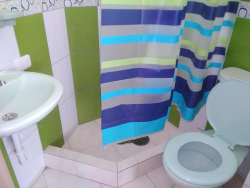 a bathroom with a toilet and a shower curtain at Casa Huespedes El Molino in Tababela