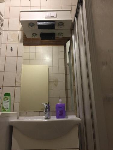 a bathroom sink with a purple soap dispenser on it at Apartment Una - Self check in in Graz