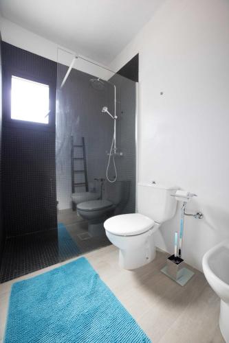 a bathroom with a toilet and a shower and a sink at Can Coques in Sant Francesc Xavier