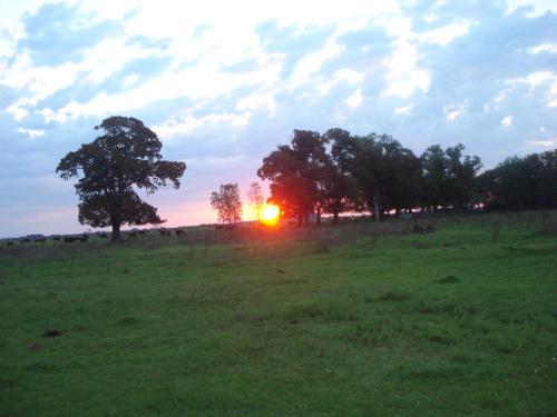 a sunset in a field with trees in a field at Cabañas Hoja de la Tierra in Chascomús