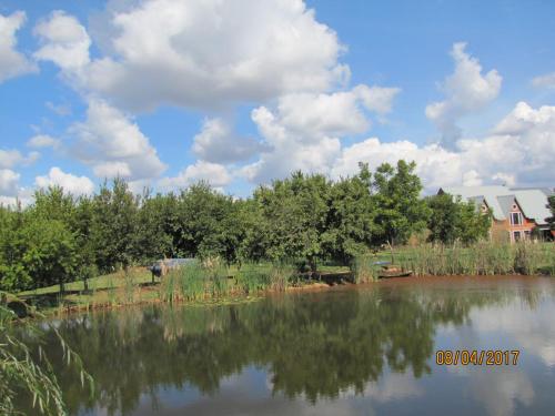 a view of a pond with trees and a house at Millstream Inn guest house in Skeerpoort