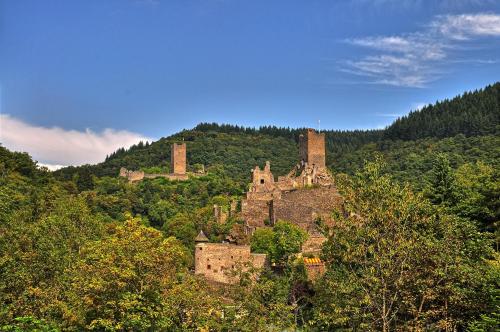 an old castle on top of a hill with trees at Landhotel Gillenfelder Hof in Gillenfeld