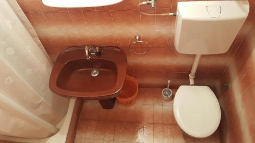Baño pequeño con aseo y lavamanos en Apartment Marik en Jelsa