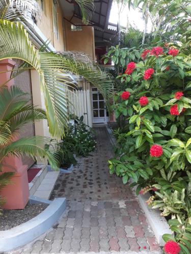 a walkway leading to a building with red flowers at Fleurvilla in Pereybere