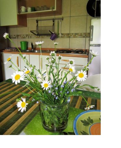 Apartment Kanin