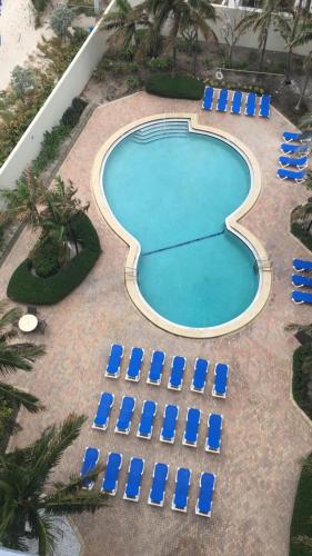 an empty swimming pool with blue chairs and palm trees at Apartments at Sian Residences in Hollywood