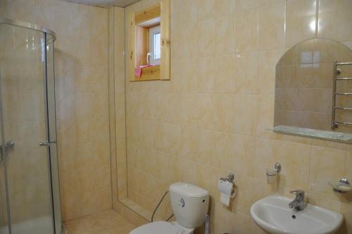 ミチュリンスコエにあるCottages Near Zhuravlyovskoyeのバスルーム(シャワー、トイレ、シンク付)
