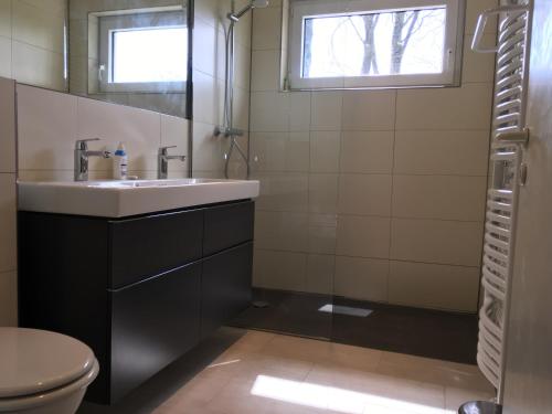 a bathroom with a sink and a toilet and a window at Eifelhaus Emmels in Saint-Vith