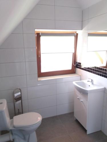 a bathroom with a toilet and a sink and a window at Domki i Pokoje u Ilony in Krościenko