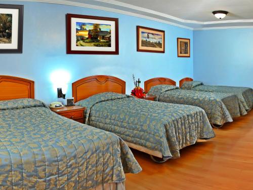 Gallery image of Hotel Yanuncay in Cuenca