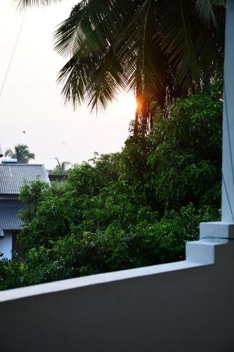 a view of a palm tree with the sun behind it at Amsterdam Tourist Rest in Anuradhapura