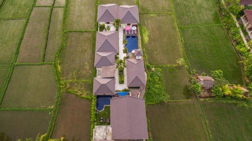 Κήπος έξω από το Solo Villas & Retreat