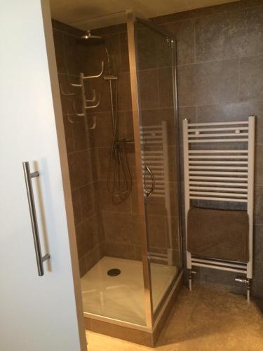 een douche met een glazen deur in de badkamer bij appartement seafront in Oostende