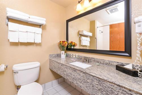 y baño con aseo, lavabo y espejo. en Country Inn & Suites by Radisson, Lincoln North Hotel and Conference Center, NE, en Lincoln